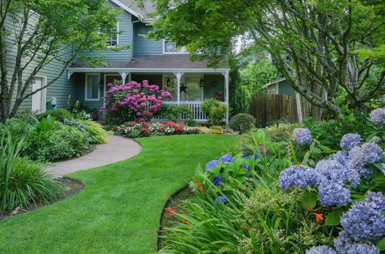 front yard landscaping ideas with hydrangeas and grasses