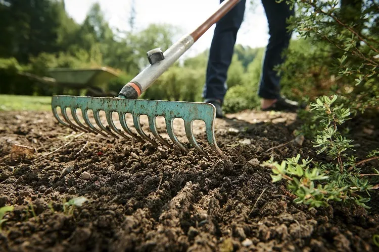 garden rake essential gardening tools for beginners