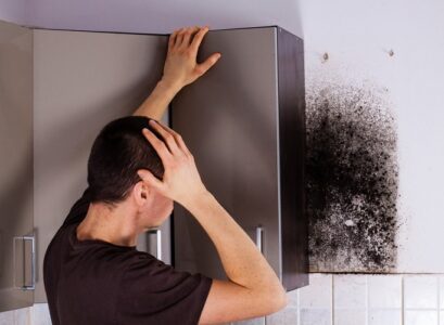 get rid of black mold in kitchen cabinets treat it with water soap solution