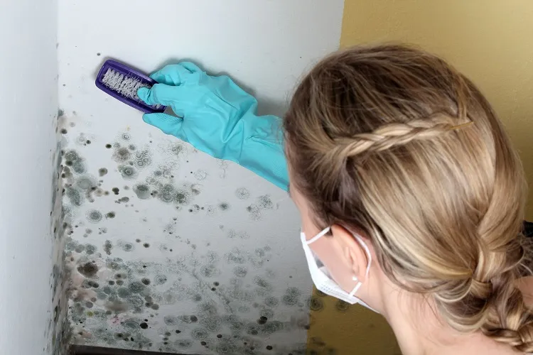 getting rid of mold in kitchen cabinets improve ventilation