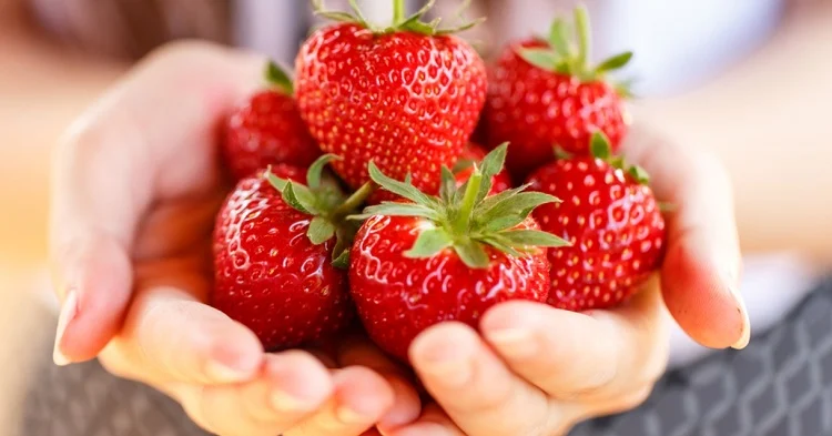 health benefits of strawberries weight loss