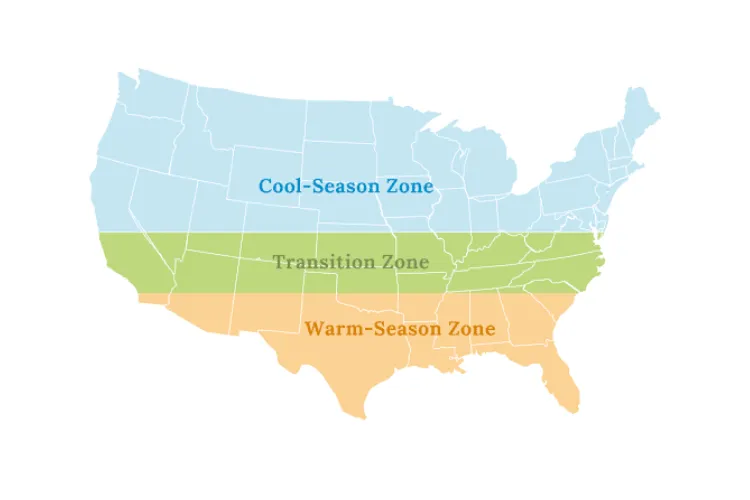 how to choose best grass seeds types region usa cool warm season transition zone