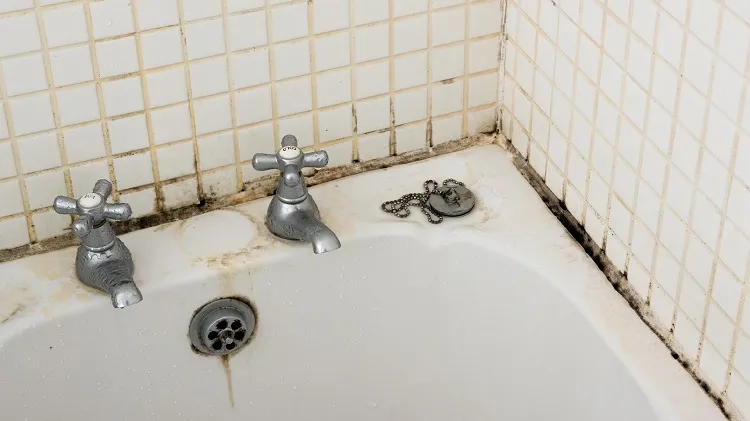 how to clean bathroom shower grout mold with vinegar water baking soda solution