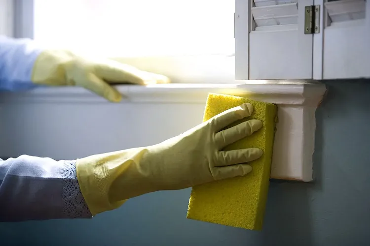 how to clean mold off wooden window sills with a water vinegar solution