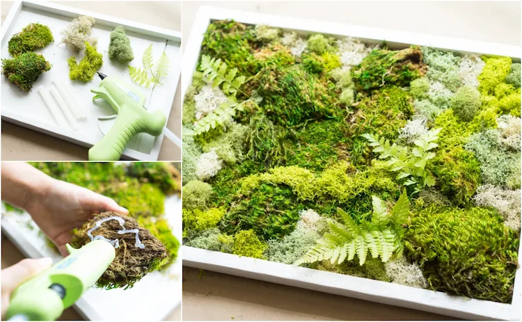 how to make a simple moss art with a wooden frame