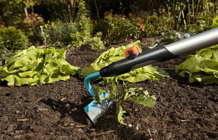 how to prevent weeds from growing in vegetable garden use tiller