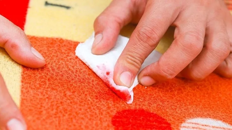 how to remove tomato stains and spills from carpet blot with a cloth