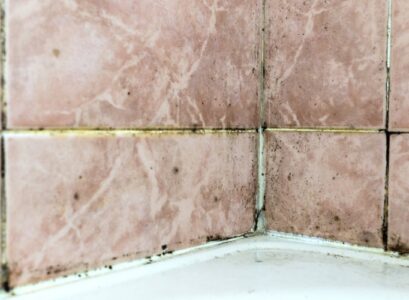 is black mold dangerous shower grout mold
