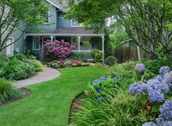 landscaping ideas with hydrangeas