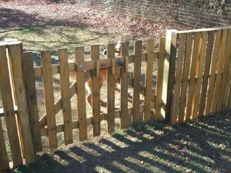 least expensive privacy fence ideas from palletes combined together