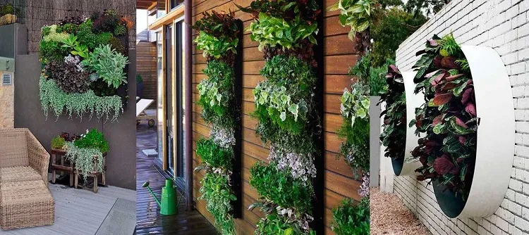 low maintenance outdoor plants for balcony vertical garden with trellies