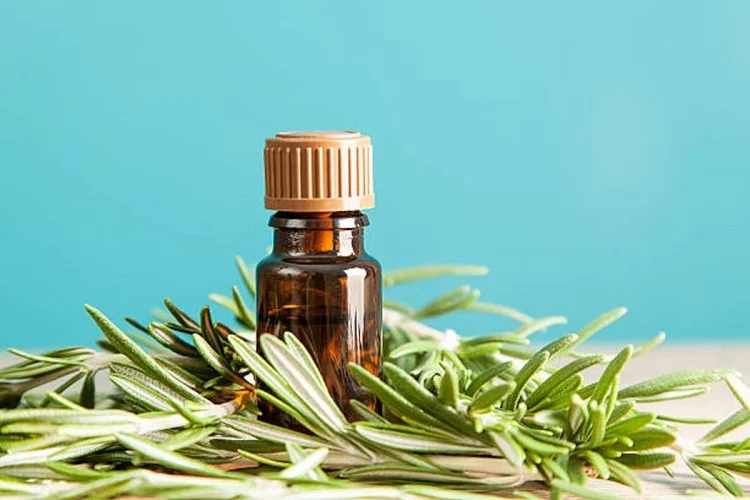 rosemary essential oil for nail growth natural diy home remedies fast results