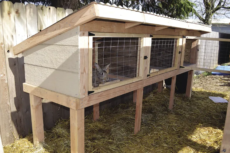 sectional rabbit hutch plan