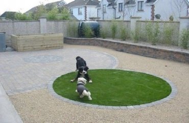 separate dog area in backyard grass coverage