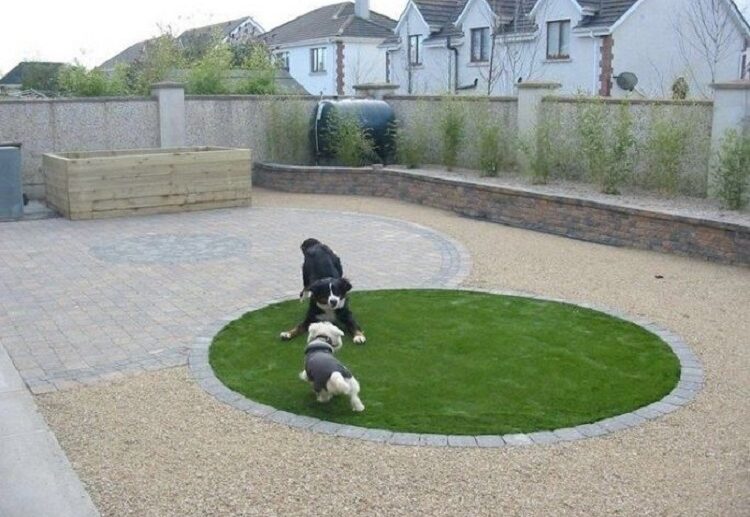 separate dog area in backyard grass coverage