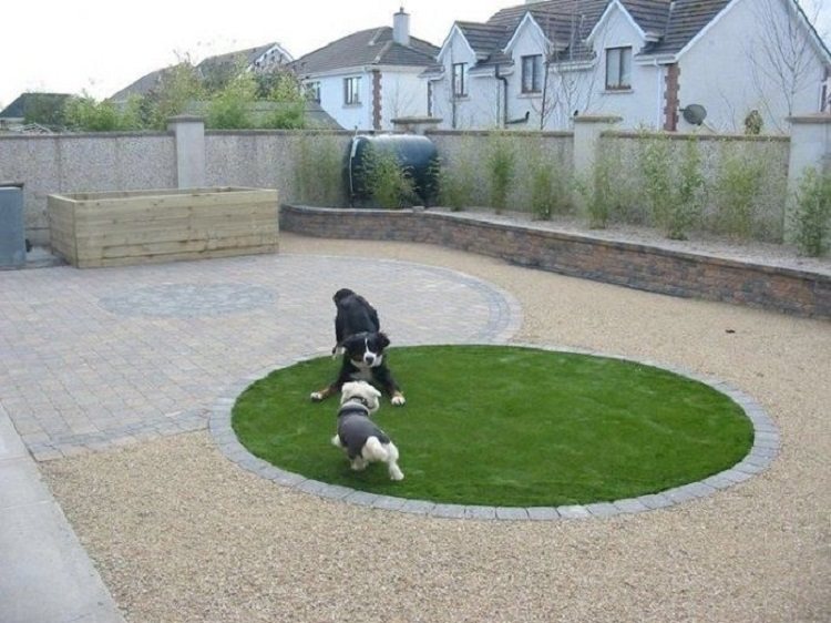 separate dog area in backyard grass coverage