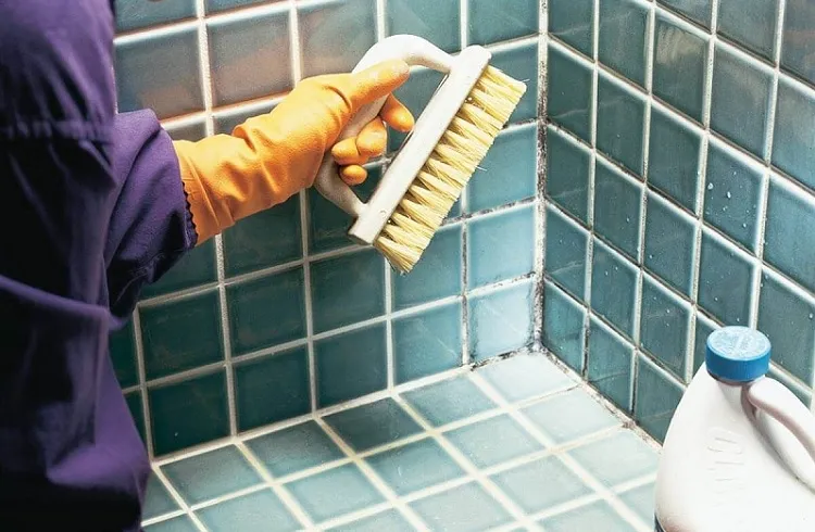 shower grout mold how to get rid with a brush