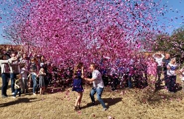 summer gender reveal party ideas outside party it's a girl a joy