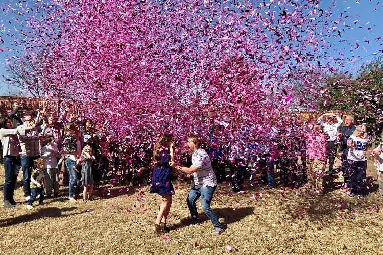 summer gender reveal party ideas outside party it's a girl a joy
