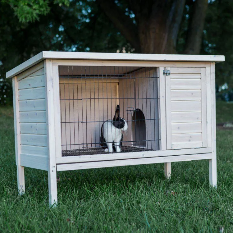 two story rabbit hutch plan