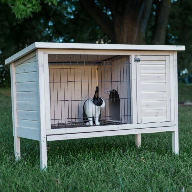 Simple rabbit outlet hutch