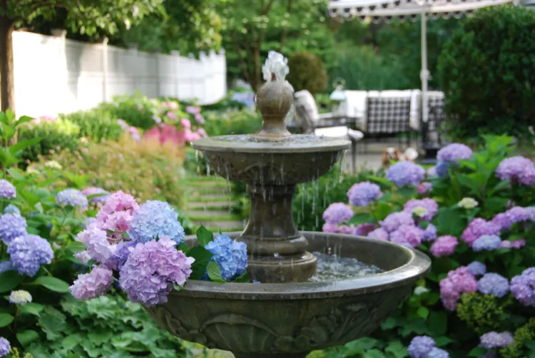 water fountain and hydrangeas front yard