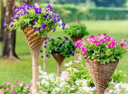 what is the best homemade fertilizer for petunias banana peel for potassium