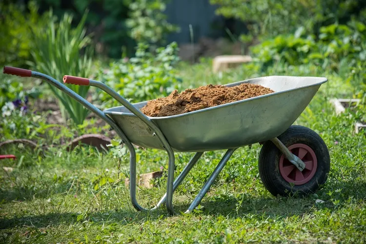 wheelbarrow gardening essentials for beginners