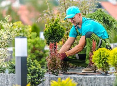 advantages of working with safety trainers around home and garden