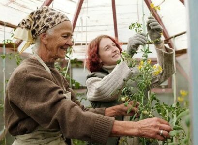 cut off the tops of tomatoes advantages and disadvantages