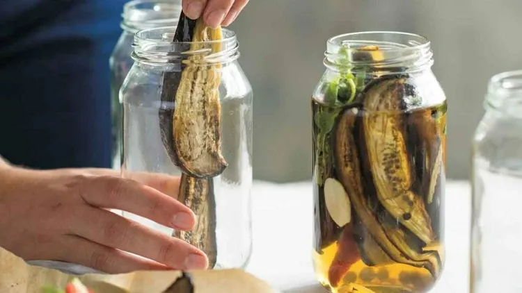 how to preserve eggplants for longer moroccan style marinated eggplant in jars