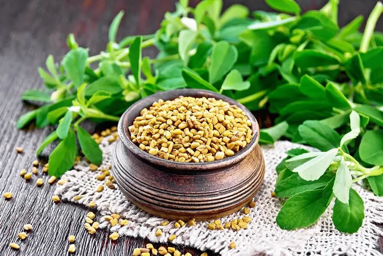 what are the benefits of fenugreek for health hair and skin