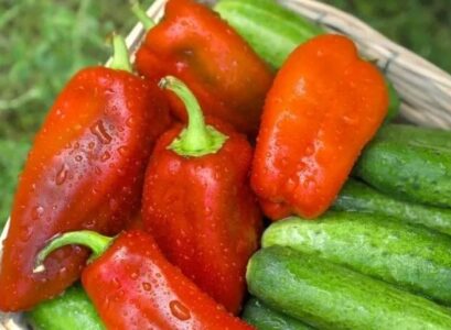 what are the vegetables that should not be frozen