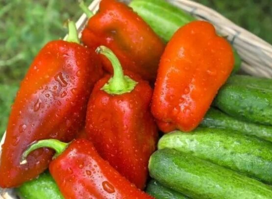 what are the vegetables that should not be frozen