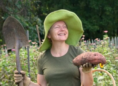 when and how to harvest sweet potatoes how do you know if they are ripe