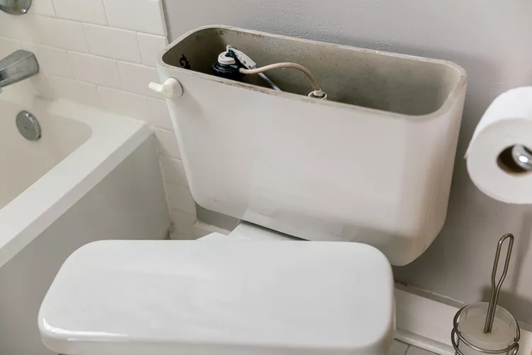 clean the toilet tank thoroughly if there is mold