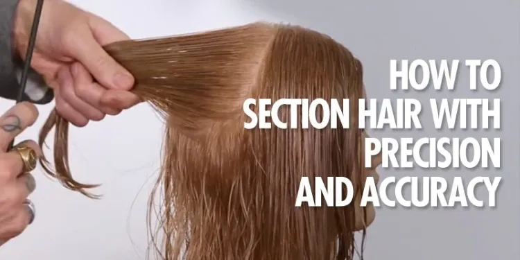 divide your hair into three sections