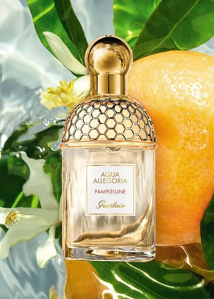 guerlain aqua allegoria pamplelune old money perfume women citrus fragrance