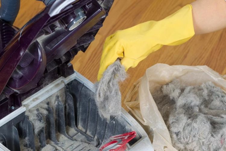 how to clean a vacuum cleaner that smells bad