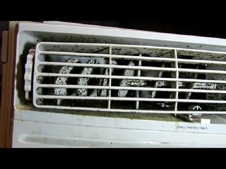 how to clean coolers from mold and bacteria with bleach