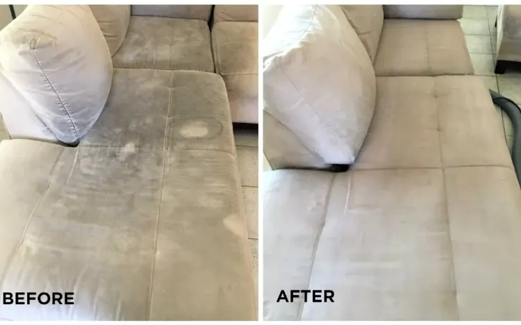 how to clean suede couch home remedies