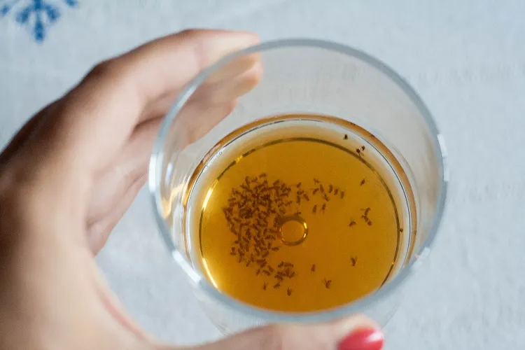 how to get rid of fruit flies by sink with a trap
