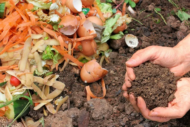 how to make compost without a composter mix the home food garbage in a garden bed
