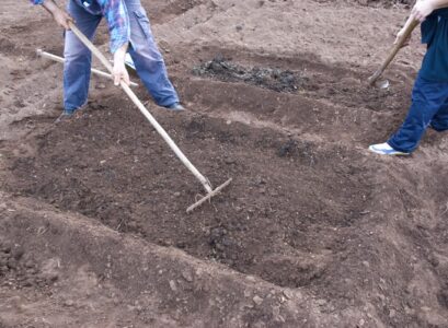 how to prepare garden soil in fall for spring planting forming beds for plants