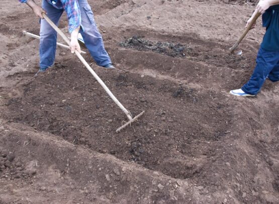how to prepare garden soil in fall for spring planting forming beds for plants