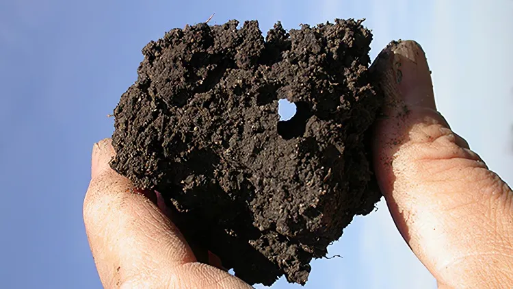 how to prepare garden soil in the fall remove soil agregates (3)