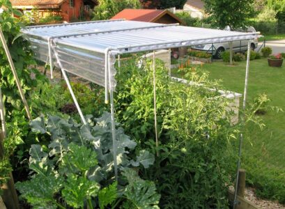 how to protect tomatoes from extreme heat with coverage