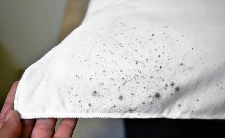 how to remove mildew from fabric without bleach