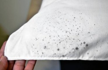 how to remove mold and mildew from fabric