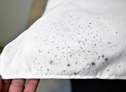 how to remove mold and mildew from fabric